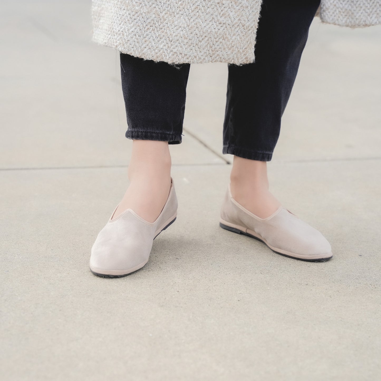 Tradizionale Cipolla