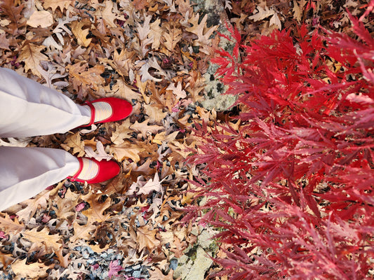 Velvet Mary Janes: How to Wear, Style, and Care for This Timeless Flat