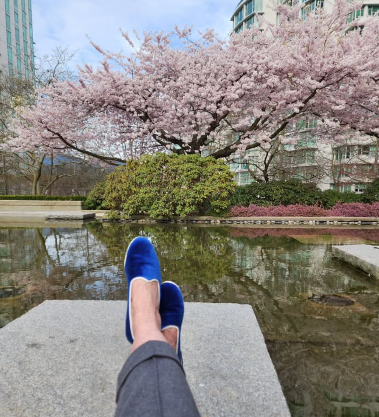 Tradizionale Bicolor Cobalto-Avorio