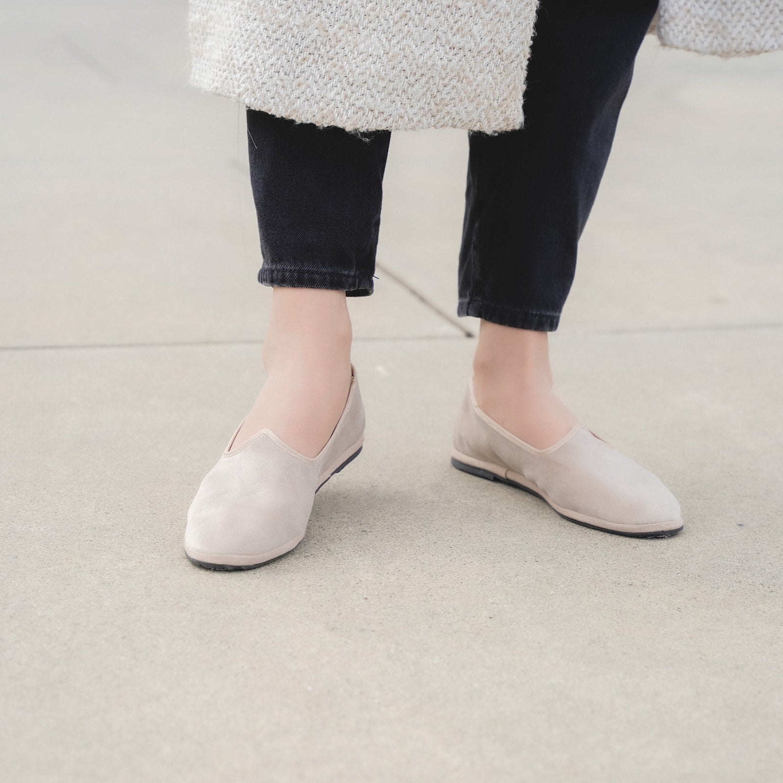 Tradizionale Cipolla