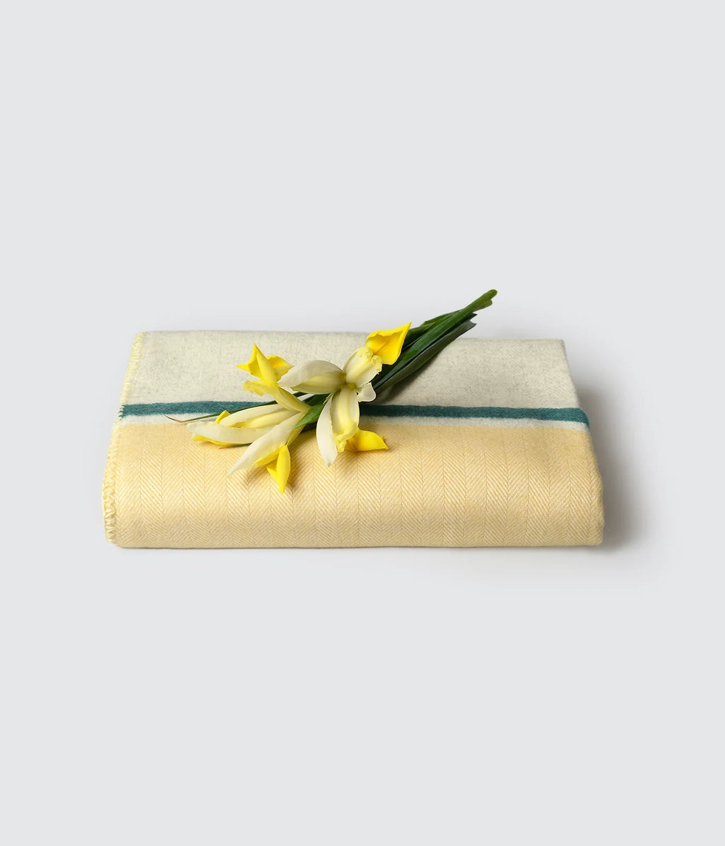 Cromia Blanket Ocra