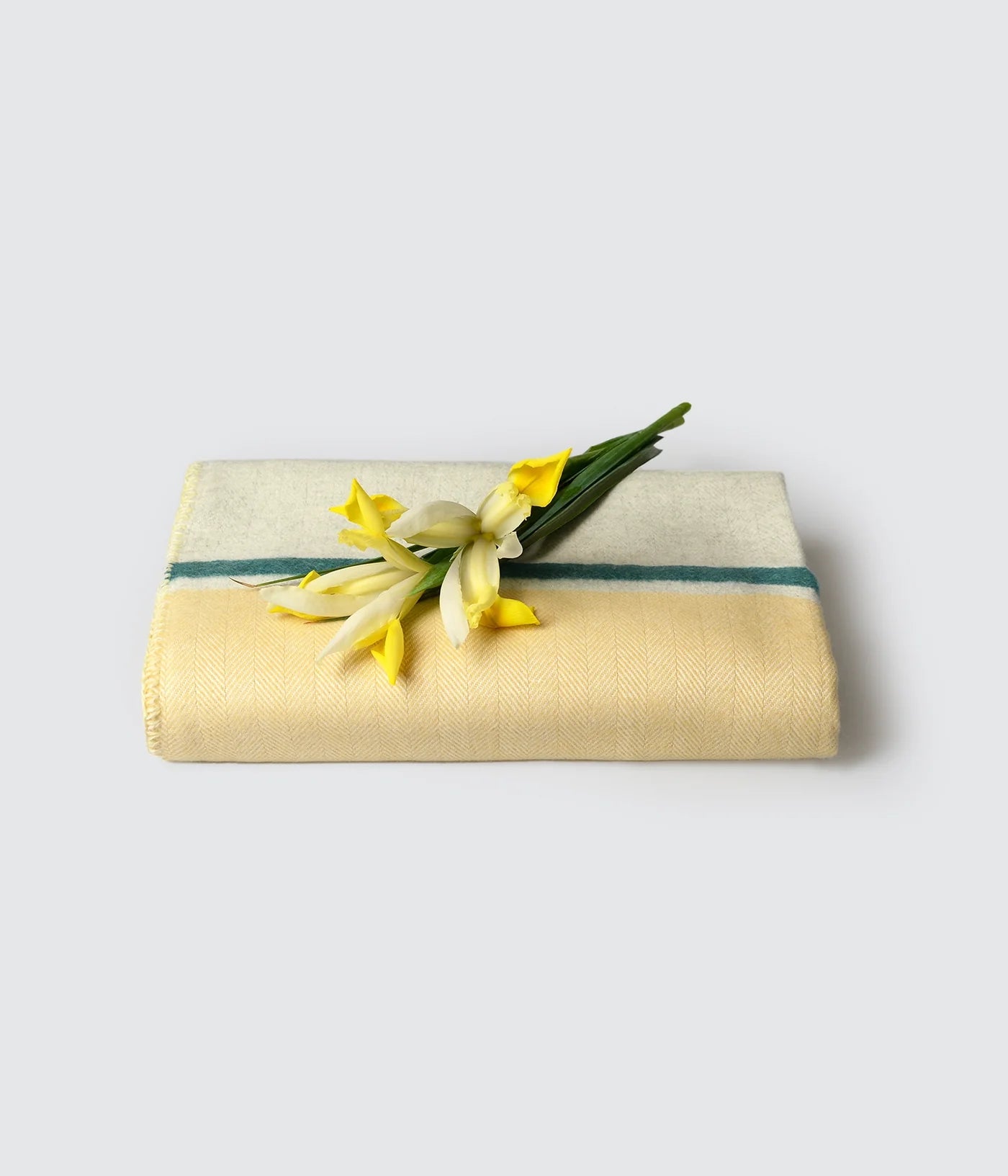 Cromia Blanket Ocra